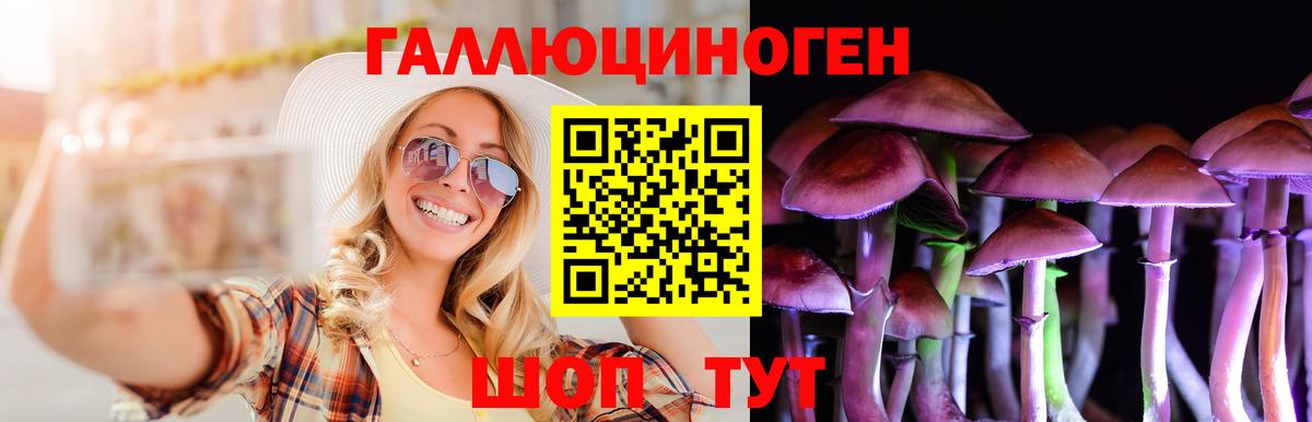 Галлюциногенные грибы Psilocybe  Вход с VPN  Красноуфимск 